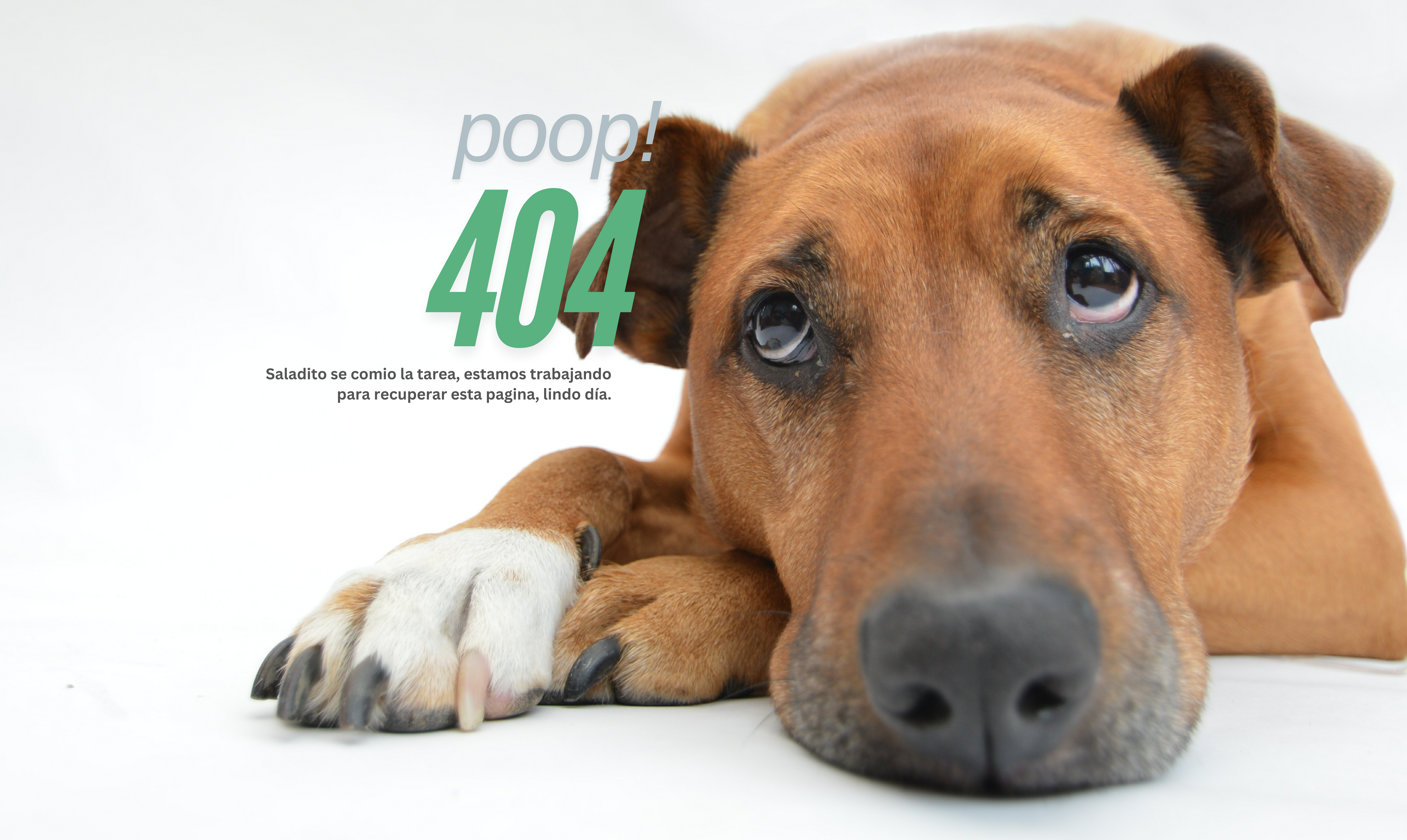 404